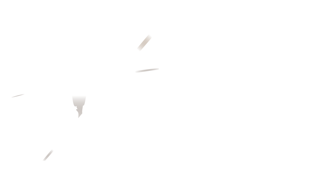 Школа Системного Баланса